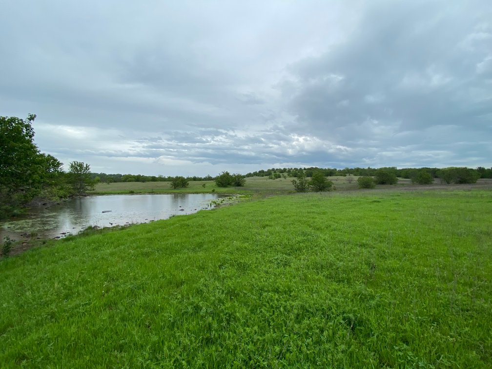 Image for Guardian/Personal Representative’s Real Estate Land Auction - Skiatook
