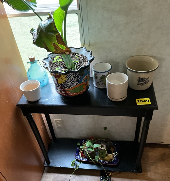 Plants, Vases, Table
