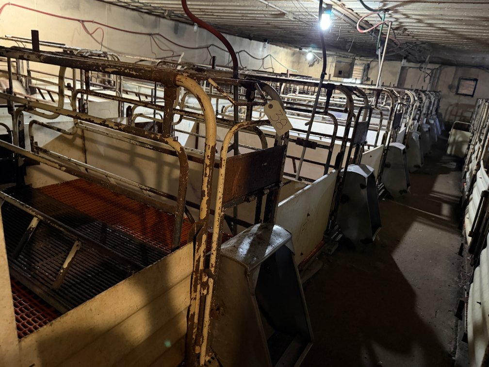 8 Farrowing Crates - Middle Row - Item Location: Farrowing Building: Room D – 7826 E Ave, Arlington, Iowa 50606