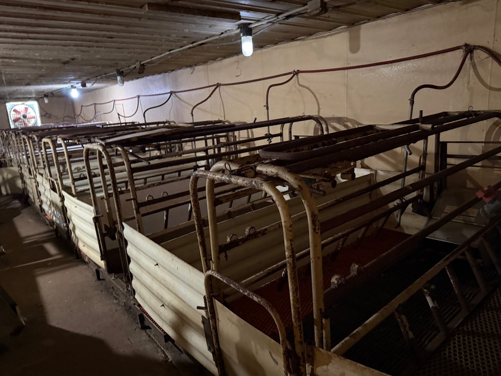 8 Farrowing Crates - South Row - Item Location: Farrowing Building: Room D – 7826 E Ave, Arlington, Iowa 50606