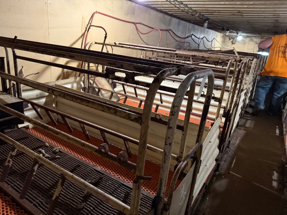 8 Farrowing Crates - North Row - Item Location: Farrowing Building: Room D – 7826 E Ave, Arlington, Iowa 50606