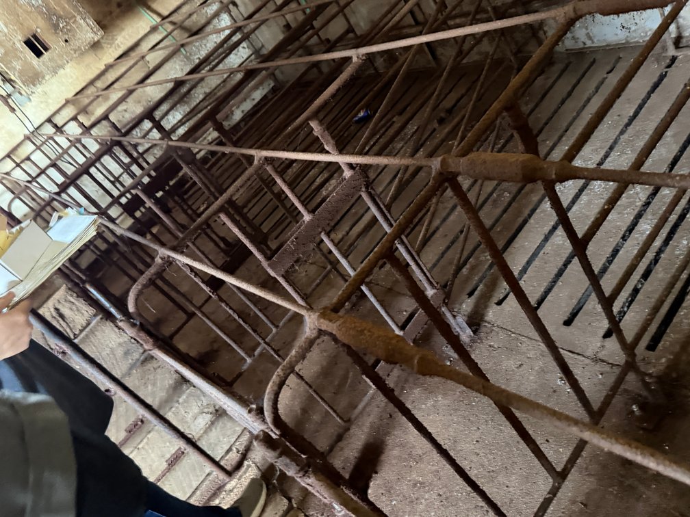 Turnaround Crates - Room Lot - Item Location: Farrowing Building: Room F – 7826 E Ave, Arlington, Iowa 50606