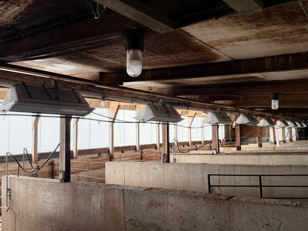 Feeders and Drop Feed System, Including Bulk Bin - Room Lot - No Gates or Slats - Room Lot - Item Location: Farrowing Building: Room G – 7826 E Ave, Arlington, Iowa 50606