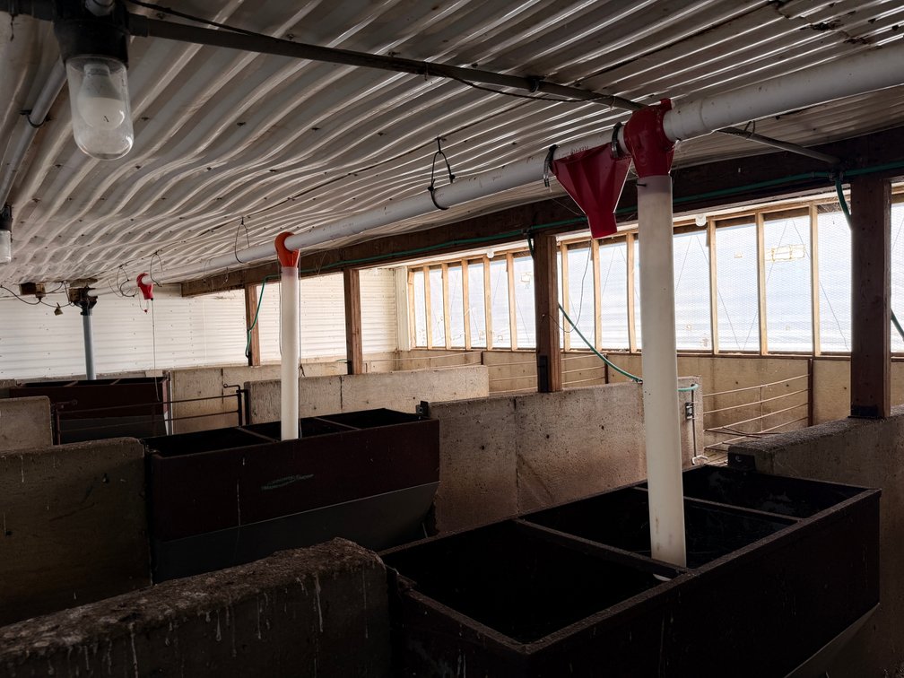 Feeders and Feed System, Including Bulk Bin - Room Lot -  Item Location: Farrowing Building: Room H – 7826 E Ave, Arlington, Iowa 50606