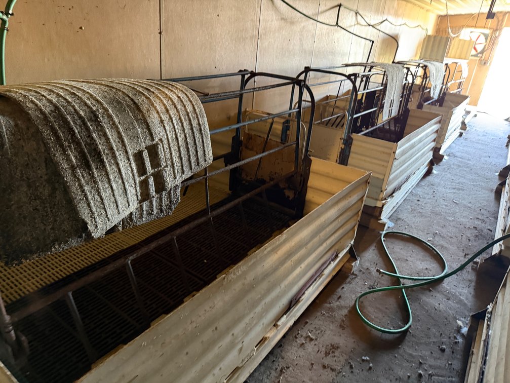 7 Crates Plus 8 Decks - Item Location: Farrowing Building: Room B – 7826 E Ave, Arlington, Iowa 50606