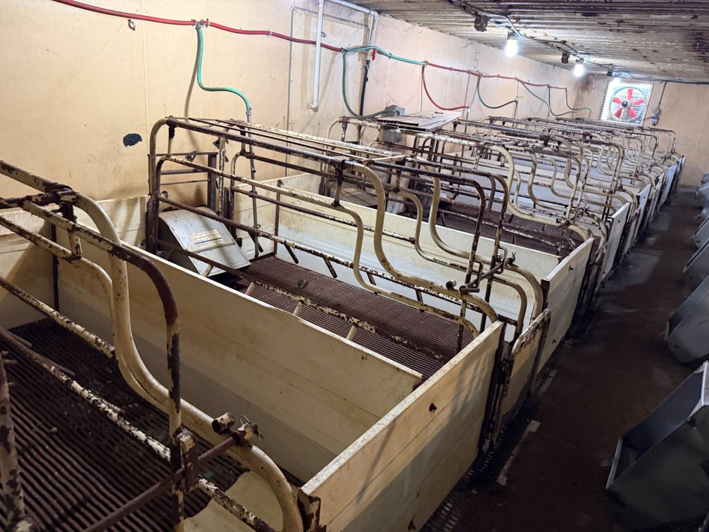 8 Crates - Item Location: Farrowing Building: Room C – 7826 E Ave, Arlington, Iowa 50606