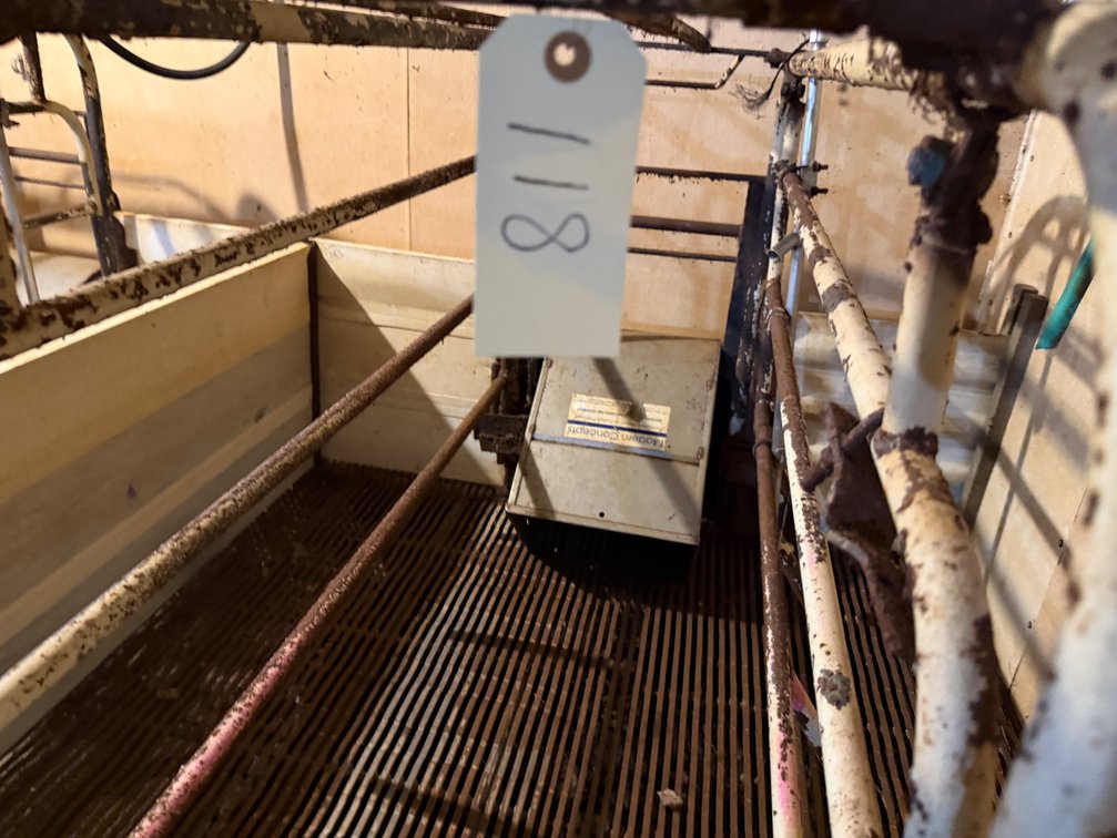 8 Farrowing Crates (North) - Item Location: Farrowing Building: Room C – 7826 E Ave, Arlington, Iowa 50606