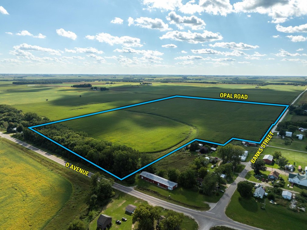 Tract 1 - 67 Acres M/L