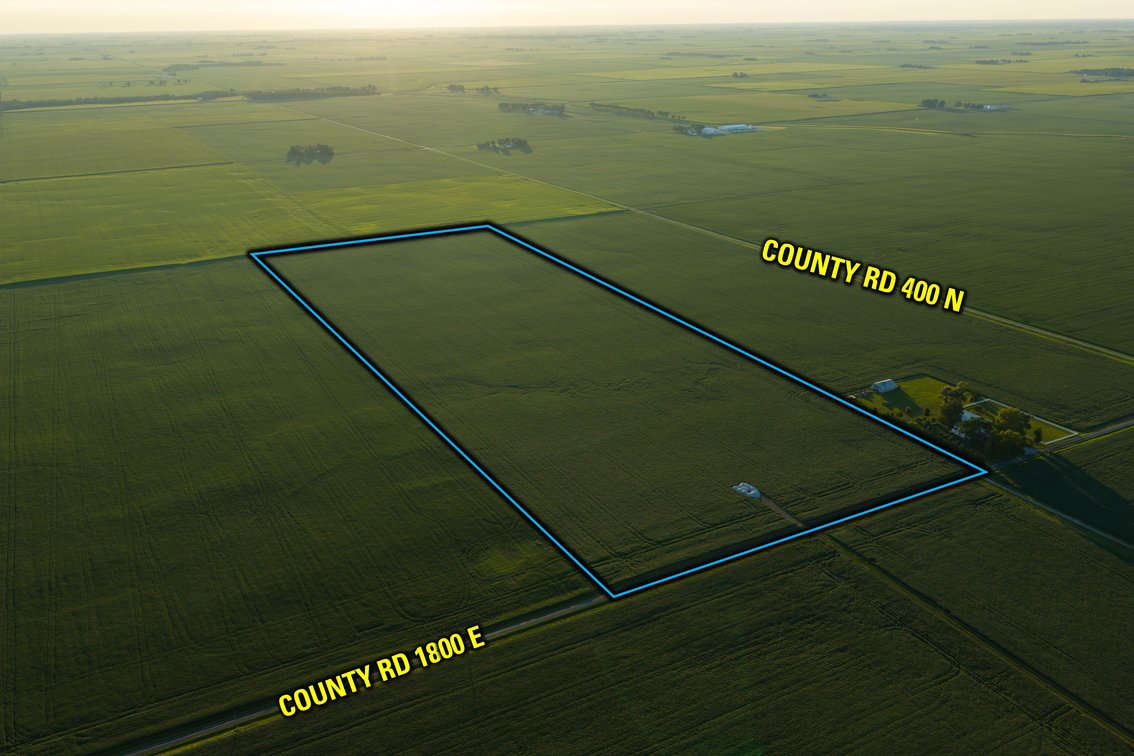 Tract 4 - 54.49 Acres M/L