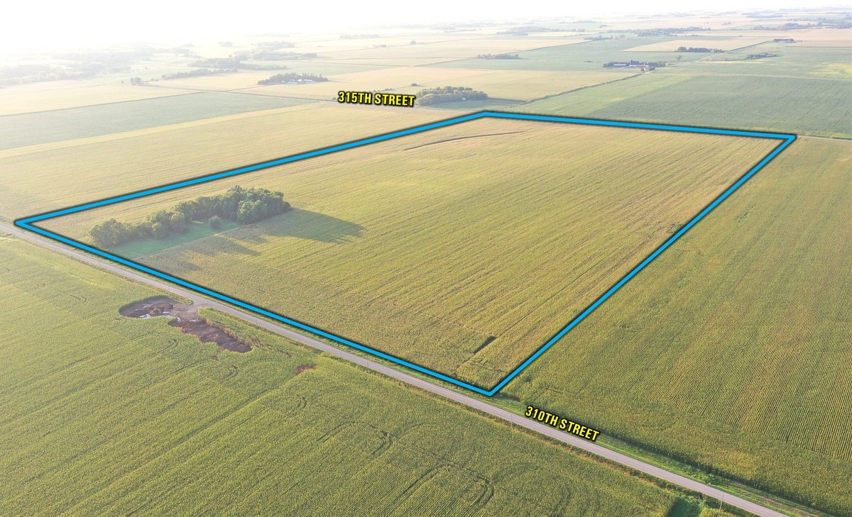 Tract 2 - 100 Acres M/L