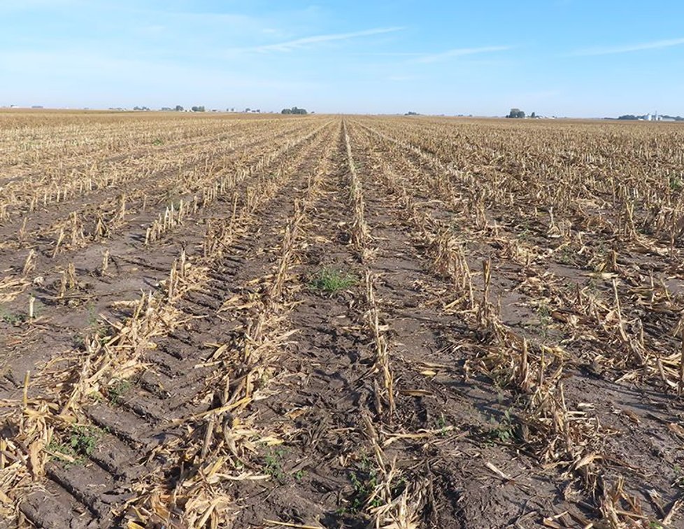 80 Acres M/L