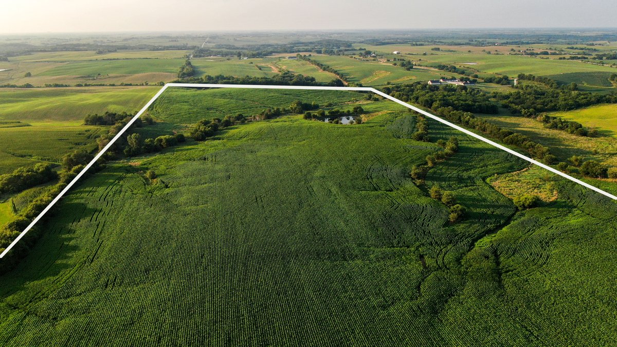Tract 2 - 143.5 Acres M/L