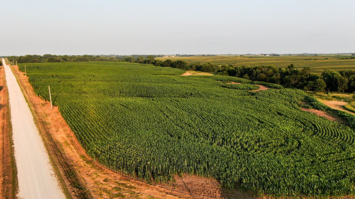 Tract 5 - 30.4 Acres M/L