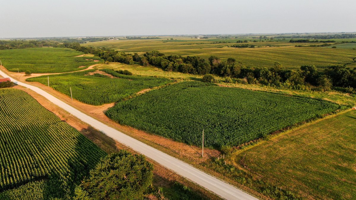 Tract 6 - 15.8 Acres M/L