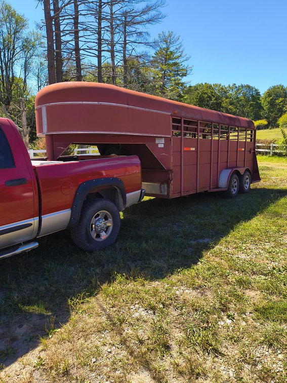 Calico Gooseneck stock trailer