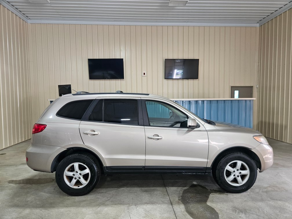 2007 Hyundai Santa Fe Multipurpose Vehicle (MPV)