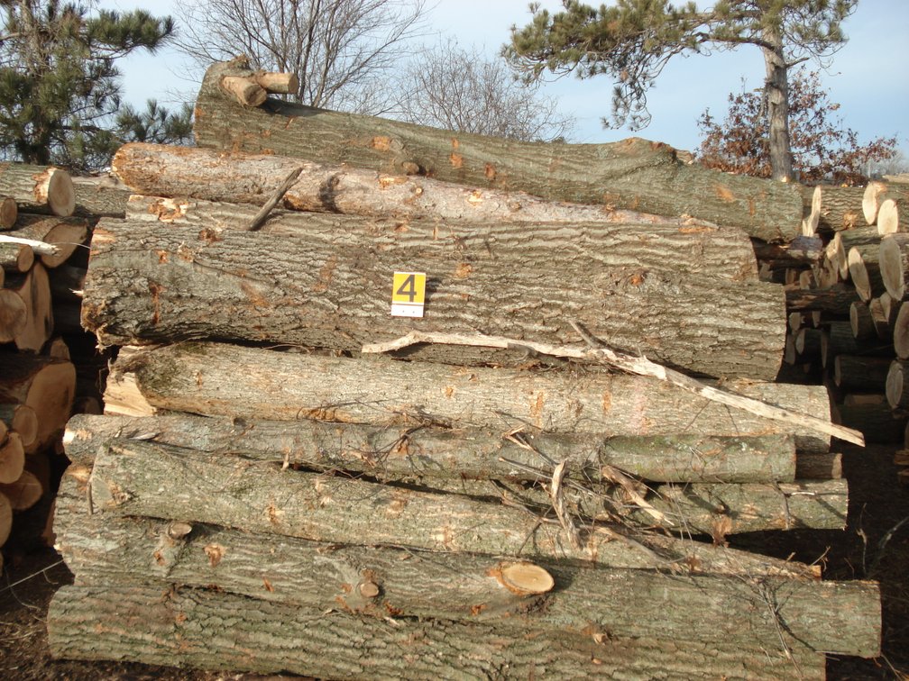 Sherburne County Fire Wood & Lumber Logs