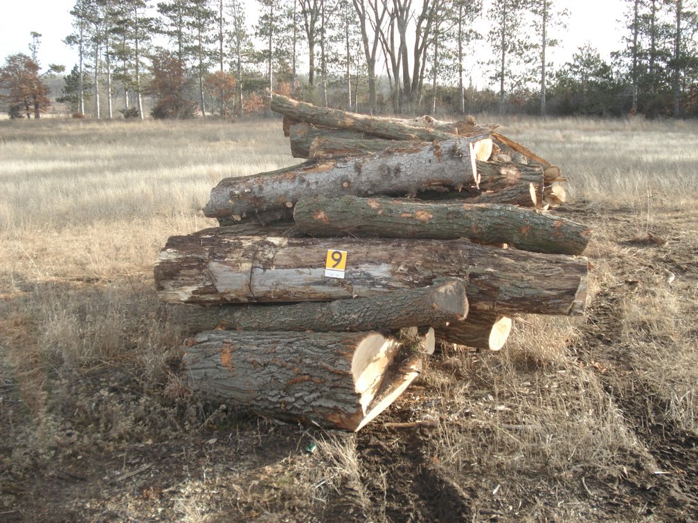 Sherburne County Fire Wood & Lumber Logs