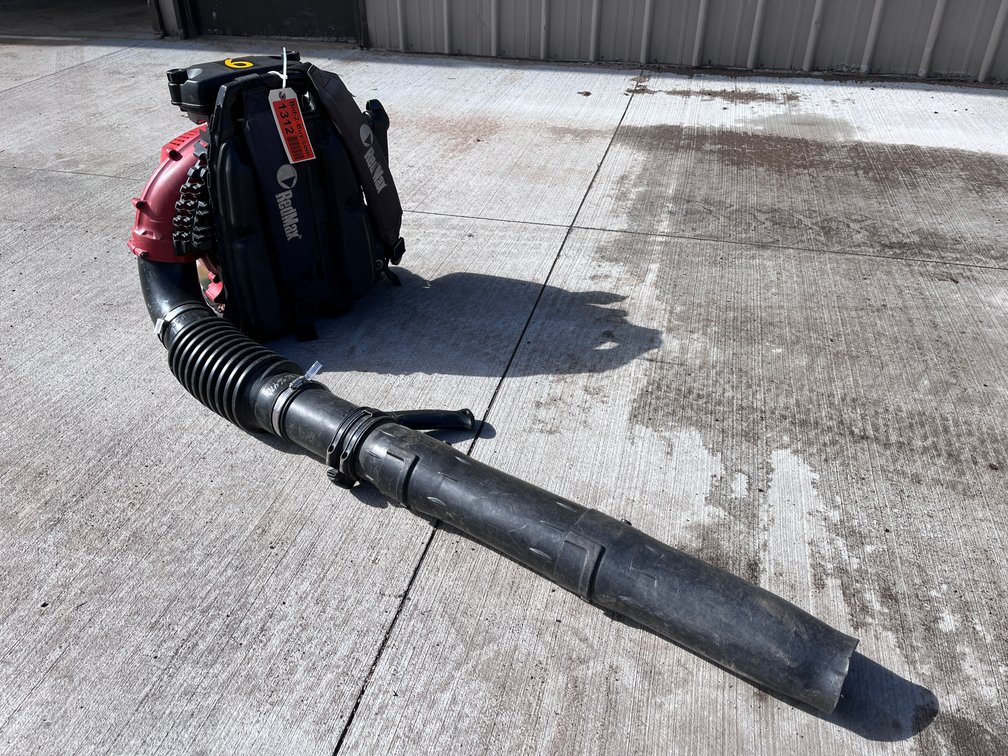 Echo Back Pack Blower
