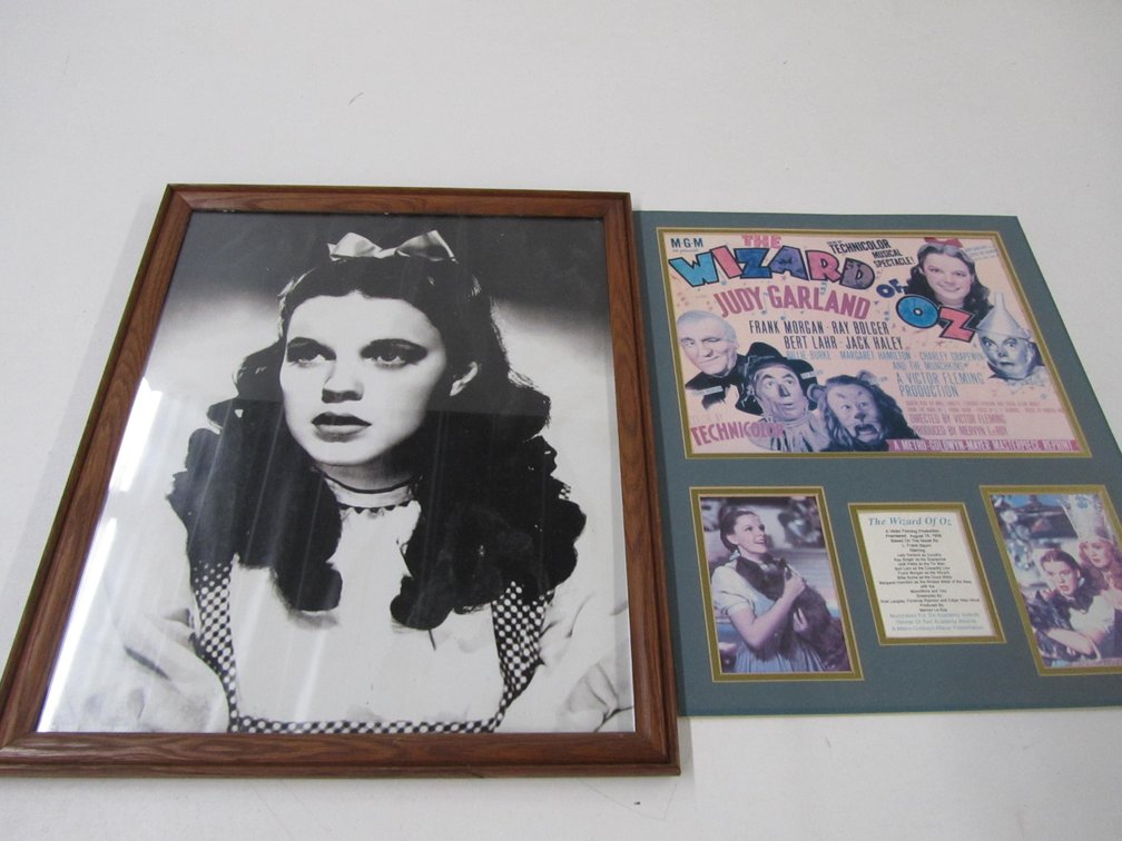 (2) The Wizard Of Oz Collectibles