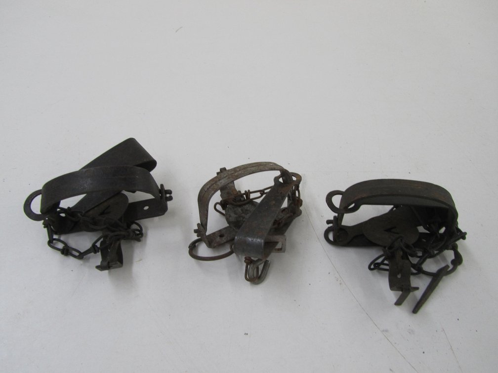 (3) Animal Traps