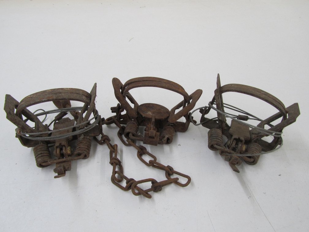 (3) 3.5" Animal Traps