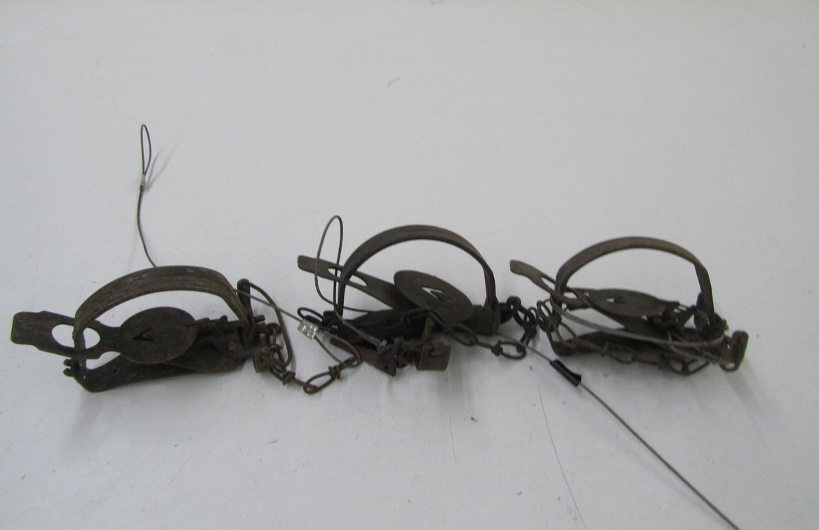 (3) 3.5" Victor Traps