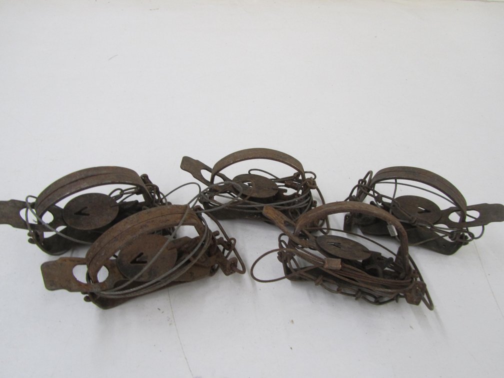 (5) 3.5" Victor Traps