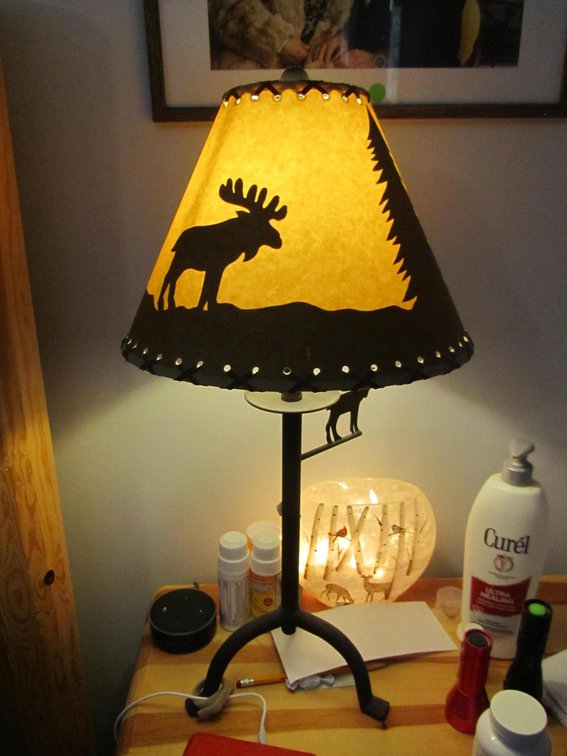 (2) Matching Metal Outdoor Themed Table Lamps