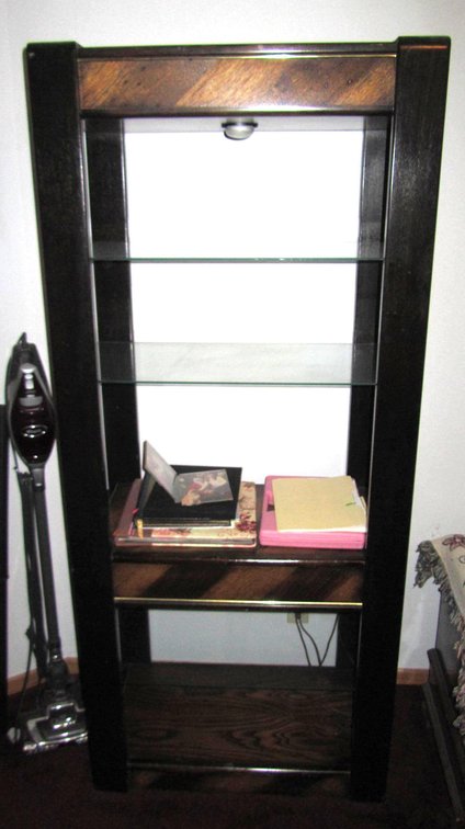 Beautiful Wood/Glass Lighted Shelf