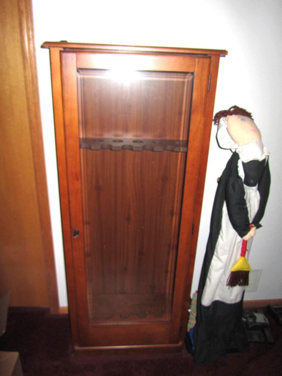Glass Pane Gun Case