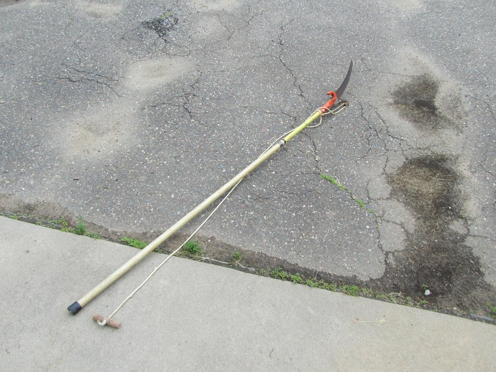 Branch Cutter