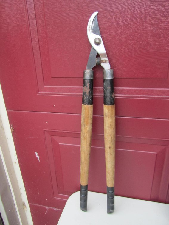 Set Of Loppers