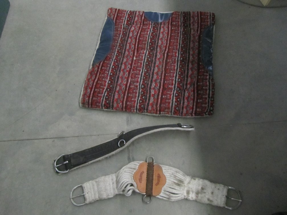 Horse Blanket And (2) Straps
