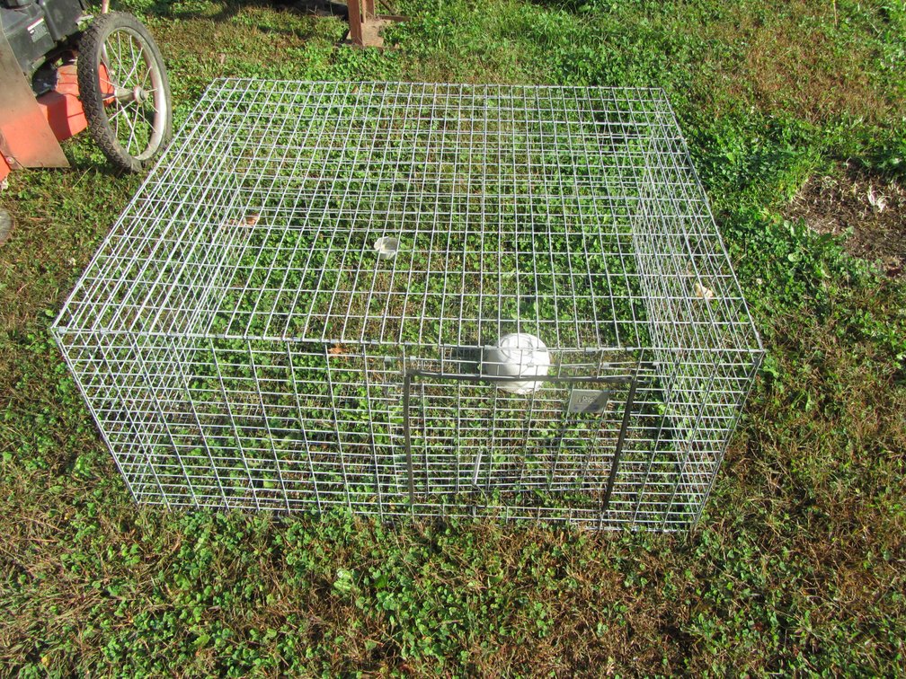 Wire Pet Kennel