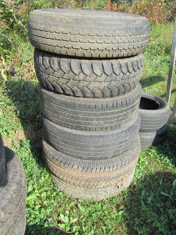 (6) Assorted Tires