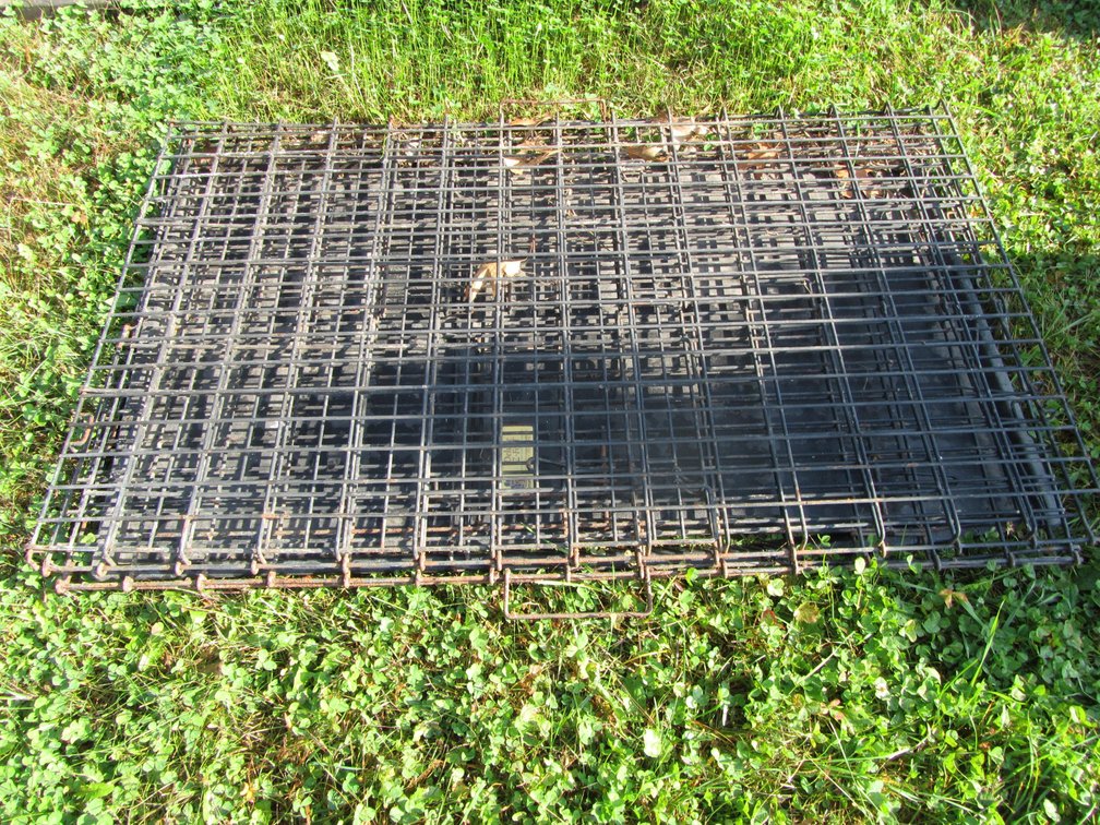 Pet Kennel