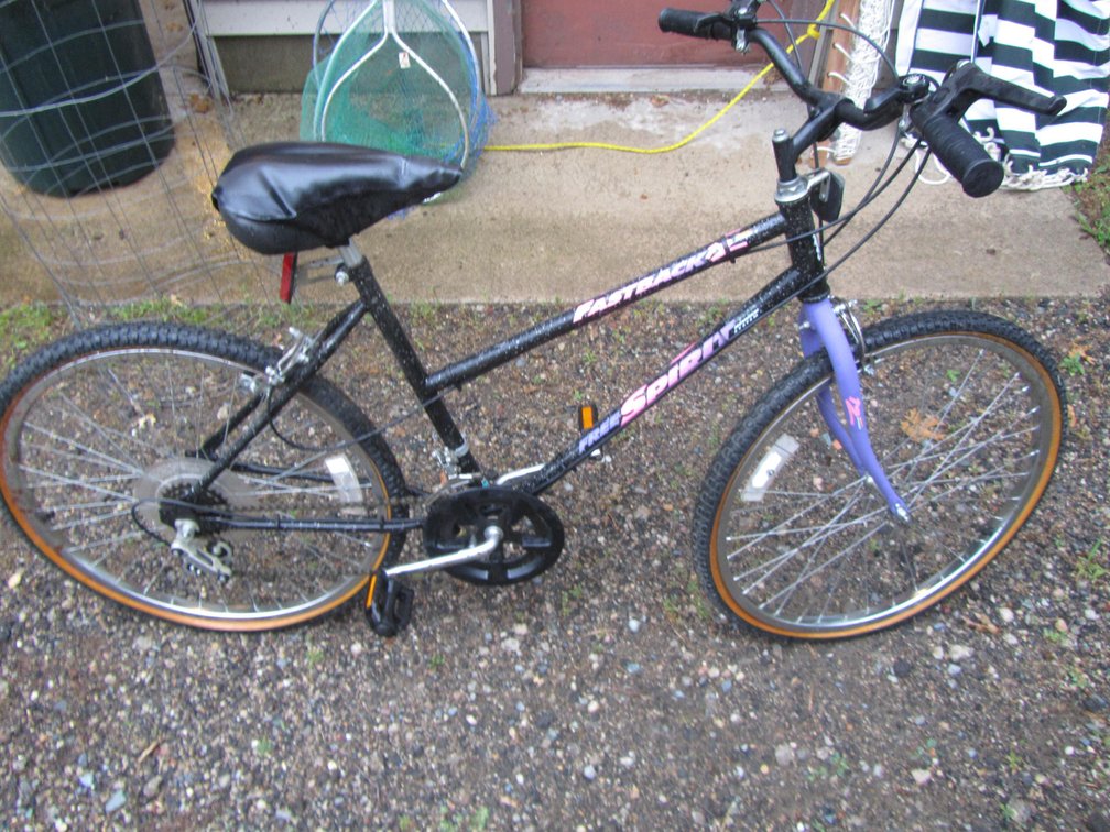 Fastback Free Spirit Bike