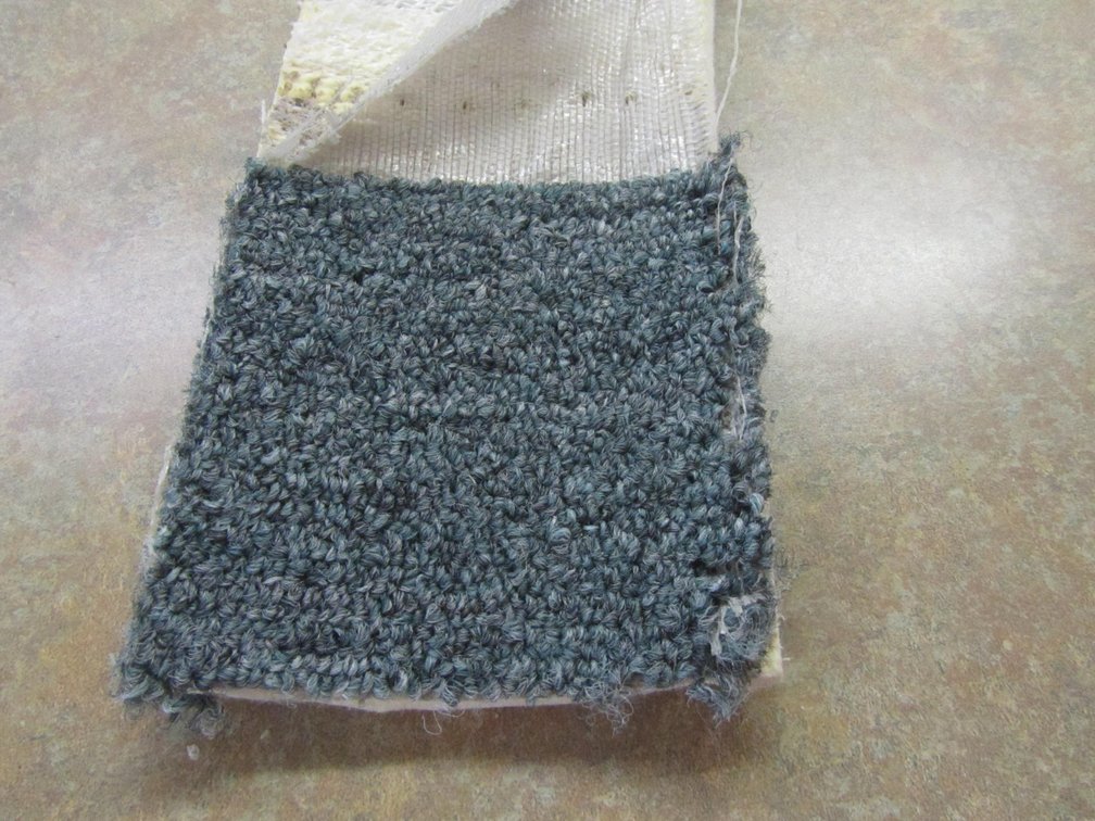 Sea Breeze Feltback Remnant