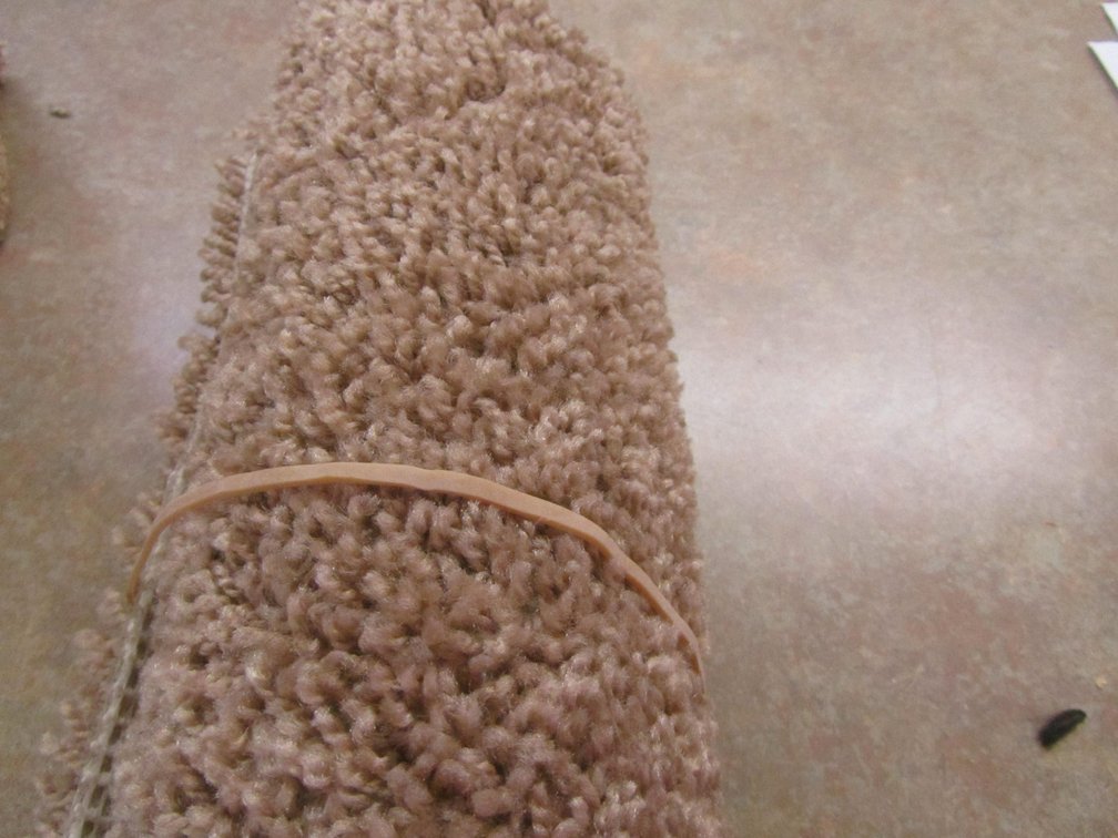 Success Color Beige