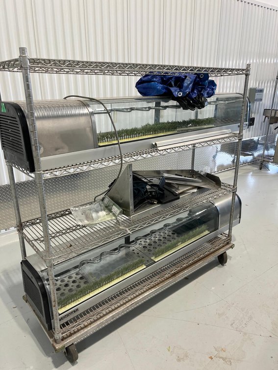 2 Yoshimasa 71" Refrigerated Counter Top Sushi Case