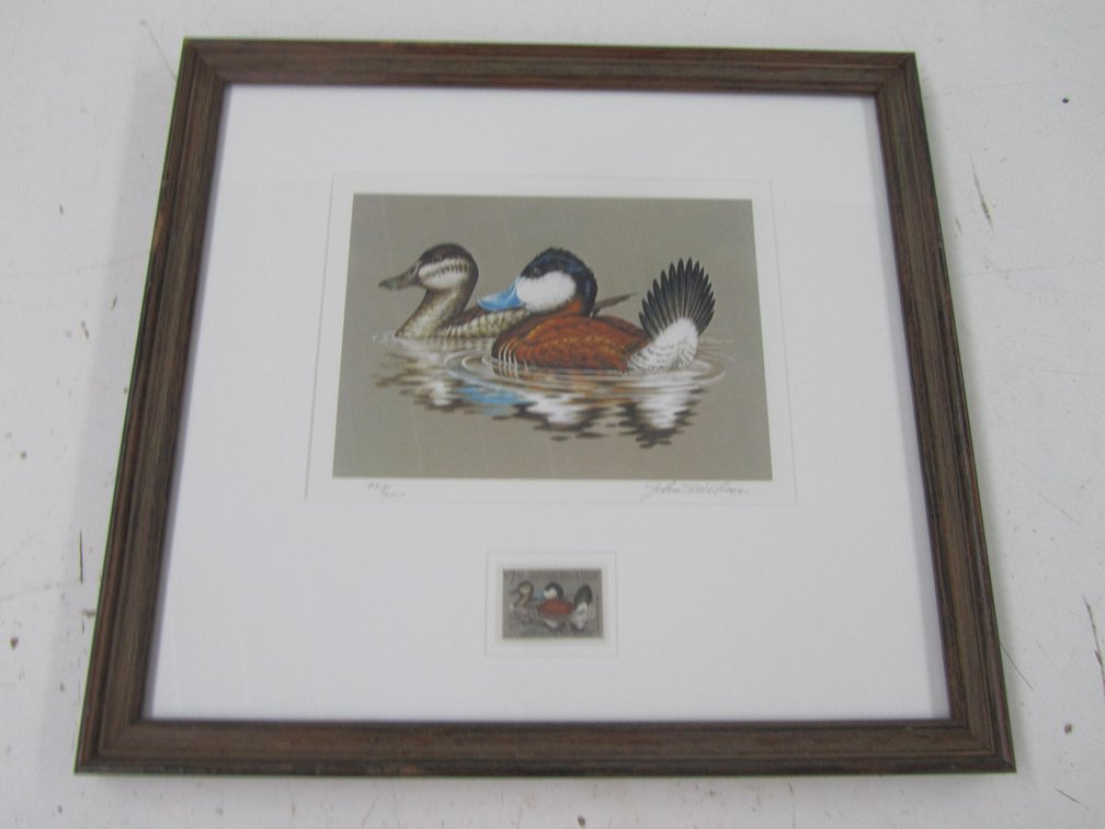 Ruddy Ducks Migratory Bird Stamp Print