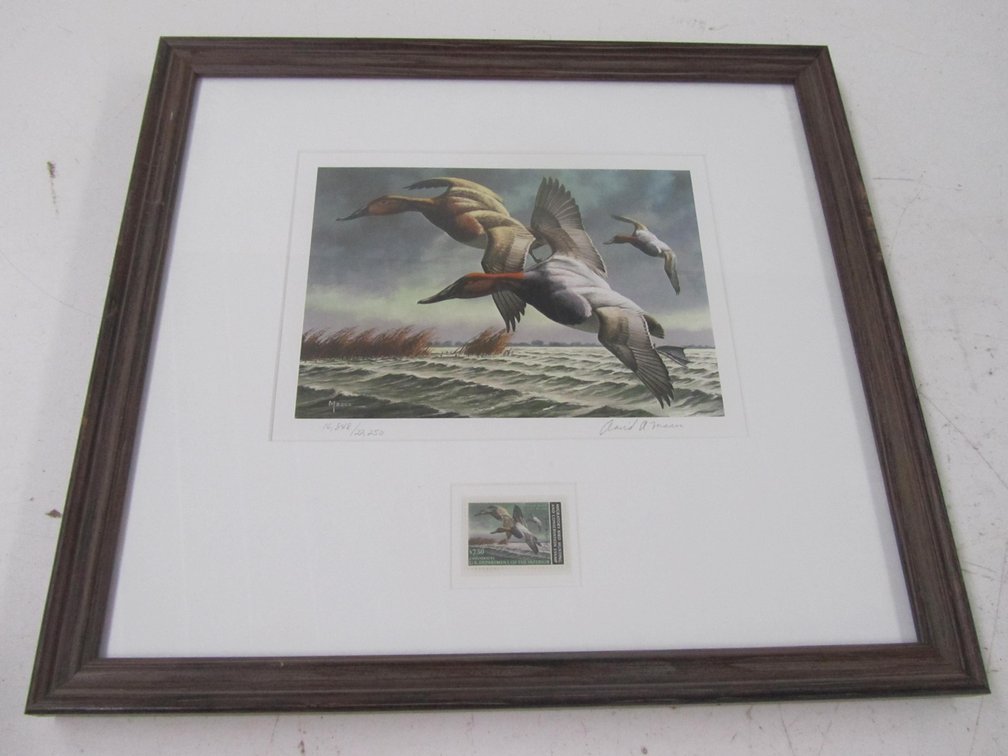 Canvasbacks Migratory Birds Stamp Print By David A.Maass