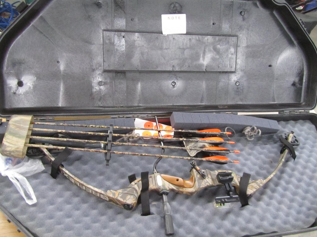 Reflex Bighorn Hunter Compound Bow