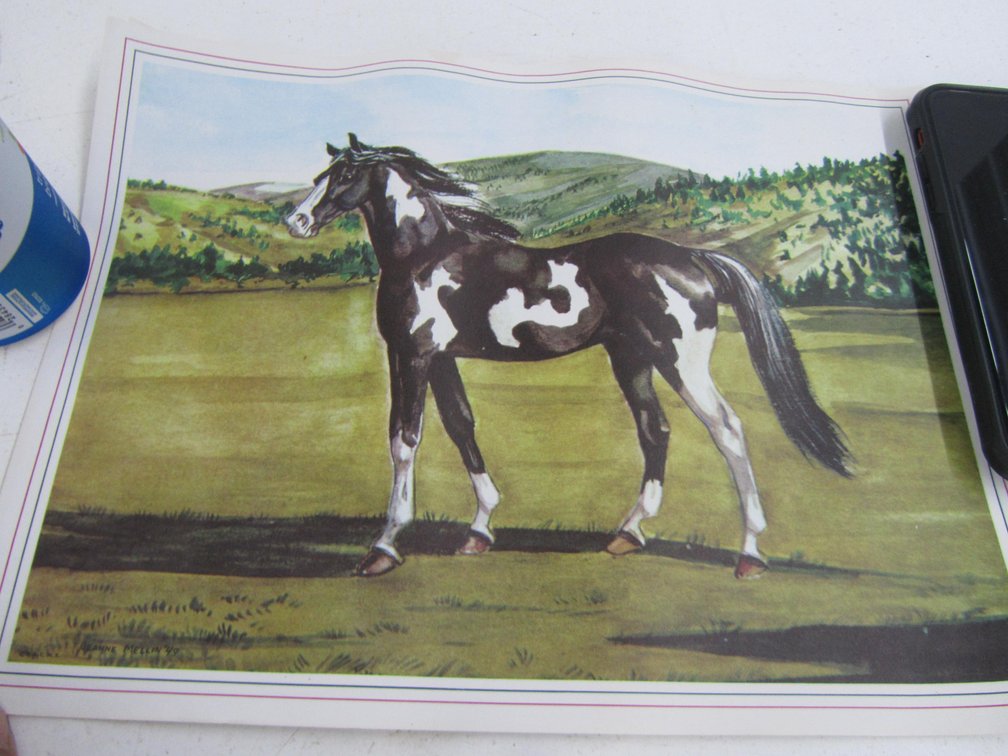 (4) Horse Prints