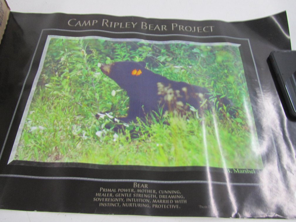 Camp Ripley Deer Project And Camp Ripley Bear Project Poster