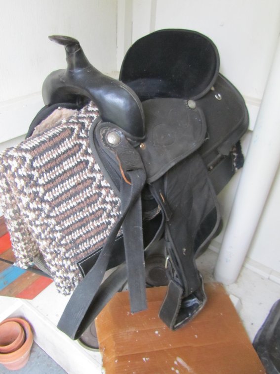 Leather Saddle King Saddle With Saddle Blanket