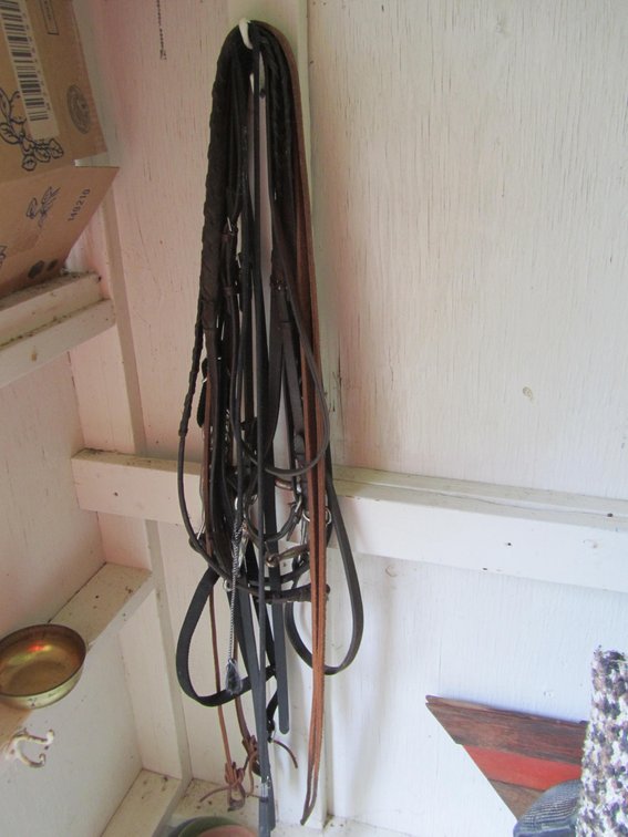 Lot Of Equestrian Tack