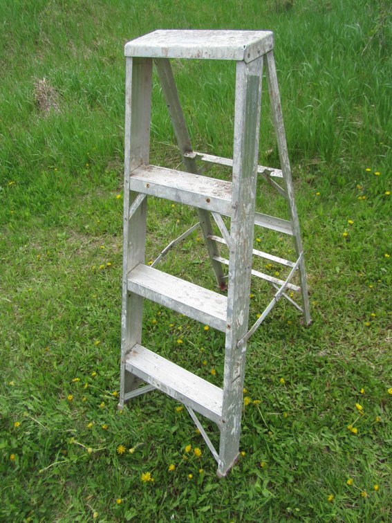 Werner Task Master 4' Aluminum Ladder