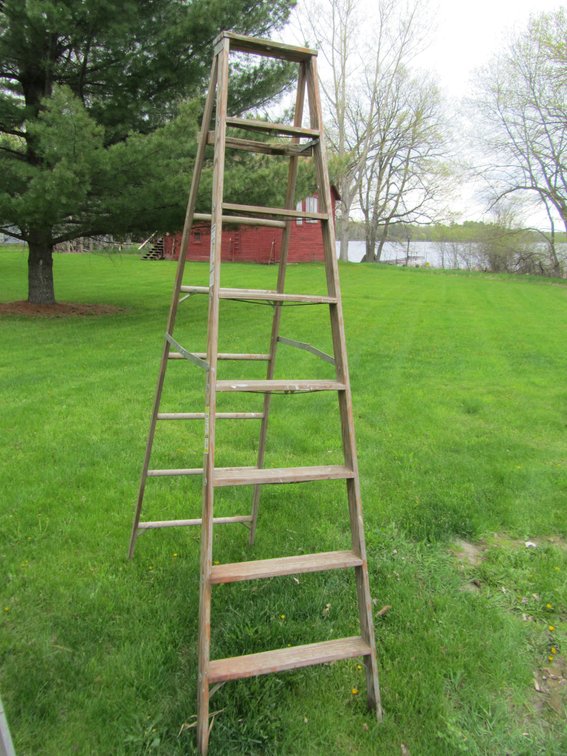 Werner 8' Ladder